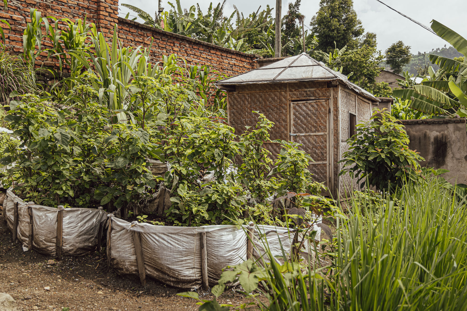 Family Vegetable Garden