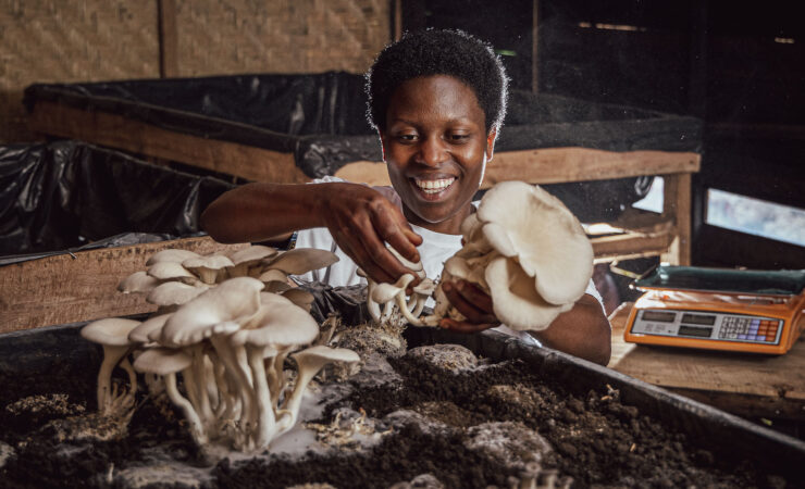 Moulins Du Nil Blanc, Solidev, Circular agriculture in Rwanda, agriculture project Rwanda, Zilipa Nyirabyago, glenn vanderbeke fotograaf, glenn vanderbekek photographer