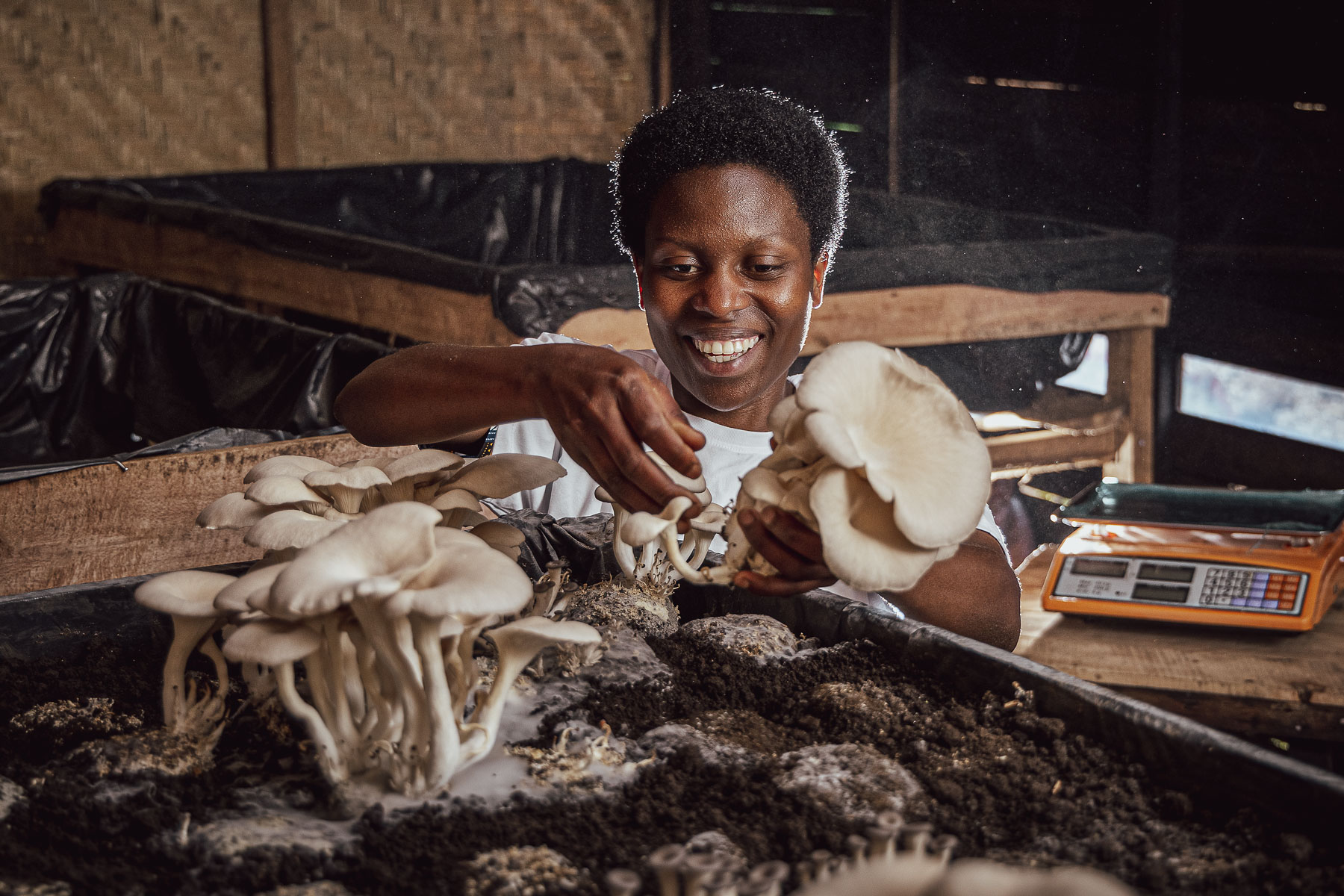 Moulins Du Nil Blanc, Solidev, Circular agriculture in Rwanda, agriculture project Rwanda, Zilipa Nyirabyago, glenn vanderbeke fotograaf, glenn vanderbekek photographer