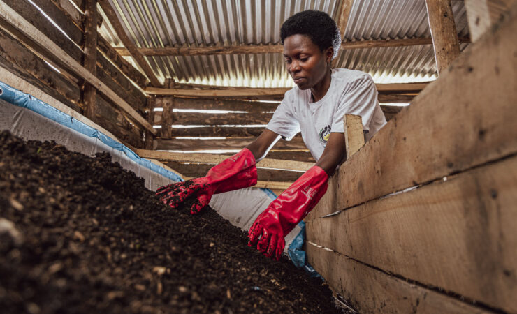 Moulins Du Nil Blanc, Solidev, Circular agriculture in Rwanda, agriculture project Rwanda, Zilipa Nyirabyago, glenn vanderbeke fotograaf, glenn vanderbekek photographer